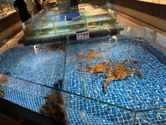 -绿杨春·淮扬宴(庐山路店)
