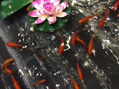 -蓝港海鲜厨房(金水路店)