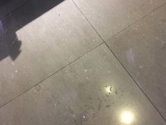-深圳东部华侨城瀑布酒店