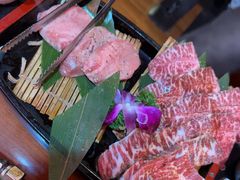 -大阪烧肉BAKA一代(国贸商住大厦店)