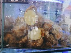 -日照大牌檔•小船海鲜(万平口店)