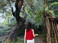 -Chom Cafe and Restaurant