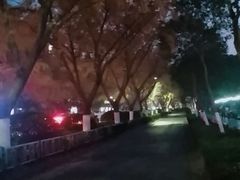 -赭山公园