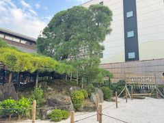 -中村藤吉(本店)