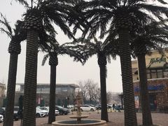 -仁爱团泊湖温泉中心