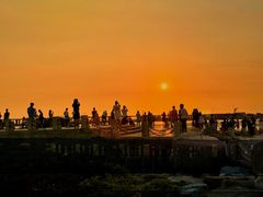 -宝安西湾红树林湿地公园