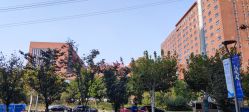 -上海市儿童医院(泸定路院区)