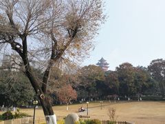 -塔子山公园