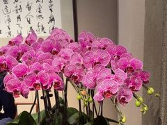 -明州小宴(文化广场店)