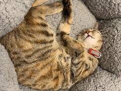 -猫的天空之城概念书店(苏州平江店)
