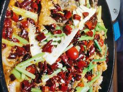 -老板恋上鱼(恒隆广场店)