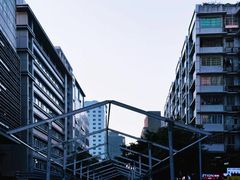 -越秀西湖花市(广州城市广场花卉店)
