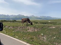 -新疆那拉提国家旅游度假区