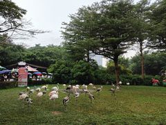 -广州长隆飞鸟乐园