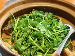 -九道菜有鸡鱼头(石鼓路店)