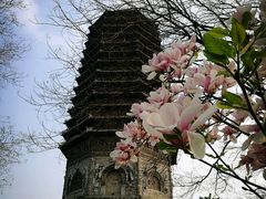 -玲珑塔公园