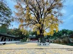 -苏州上方山国家森林公园