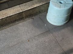 -7017浙菜•建德味(市心北路店)