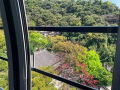 -广州市白云山风景名胜区