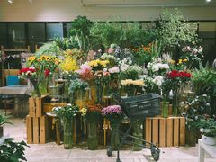 大堂-T11生鲜超市(朝阳公园店)