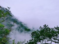 -少华山国家森林公园