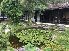-日出青木·杭帮菜名店