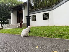 -深圳国际园林花卉博览园