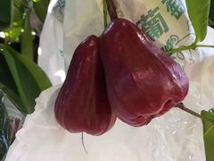 -港华水果街(港华广场店)