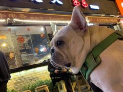 -水碾河刘老大串串香(水碾河路店)