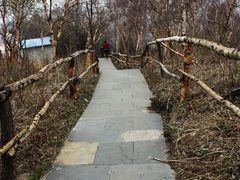 -白草畔自然风景区