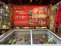 -墨江北回归线标志园