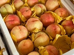 -南汇新场正宗水蜜桃采摘