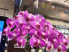 -长白山万达锦华套房酒店