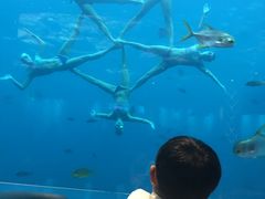 -瑞德姆美人鱼海底演艺主题餐厅(亚龙湾店)