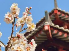 -宝鸡植物园