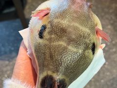 -永安鱼庄·镇江菜(东吴路店)