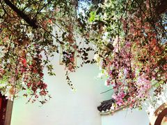 -深圳国际园林花卉博览园