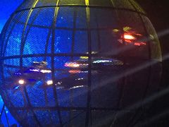 -兴芮温泉度假区