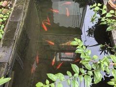 -树厨贵州菜(铜仁花果山店)