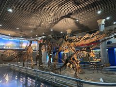 -国家自然博物馆