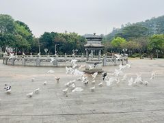 -顺峰山公园
