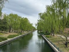 -元大都城垣遗址公园