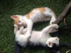 iphone_upload_pic-赢吧Bliss音乐酒吧