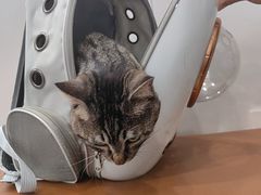 -芭比堂动物医院·CT·微创中心(新顺分院)