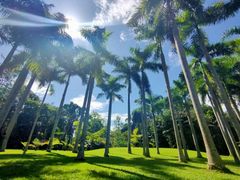 -中国科学院西双版纳热带植物园
