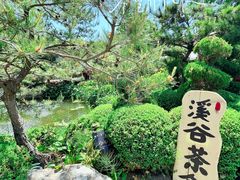 -熙古里艺术村