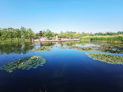 -绿堤公园