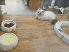 -狗道宠物(常熟印象城店)