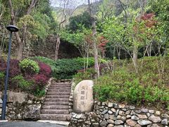 -宁海安岚·南溪阁全日餐厅