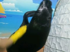 android_upload_pic-泉城欧乐堡海洋极地世界
